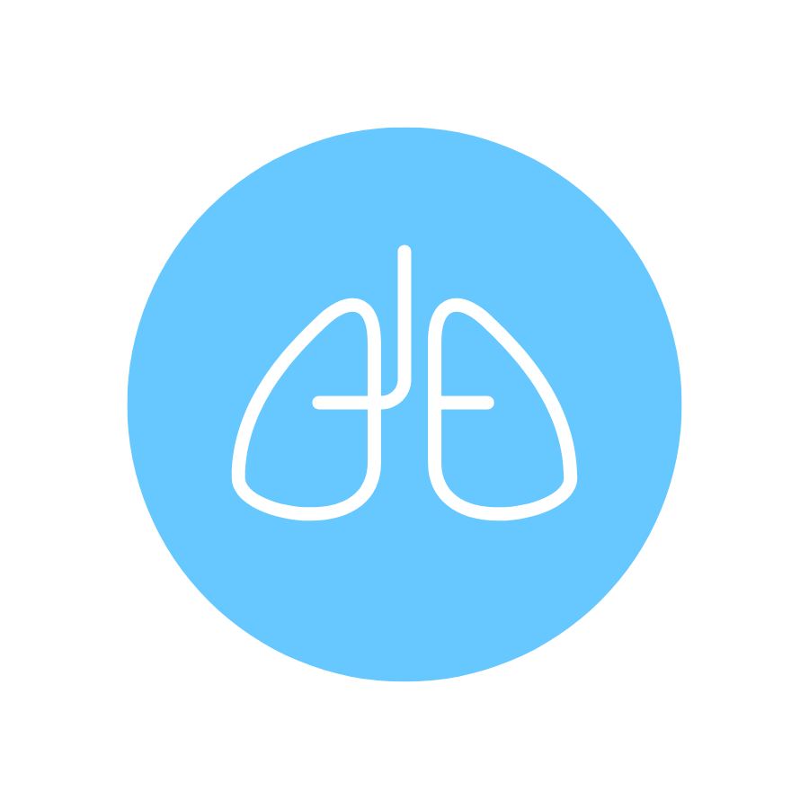 lungs